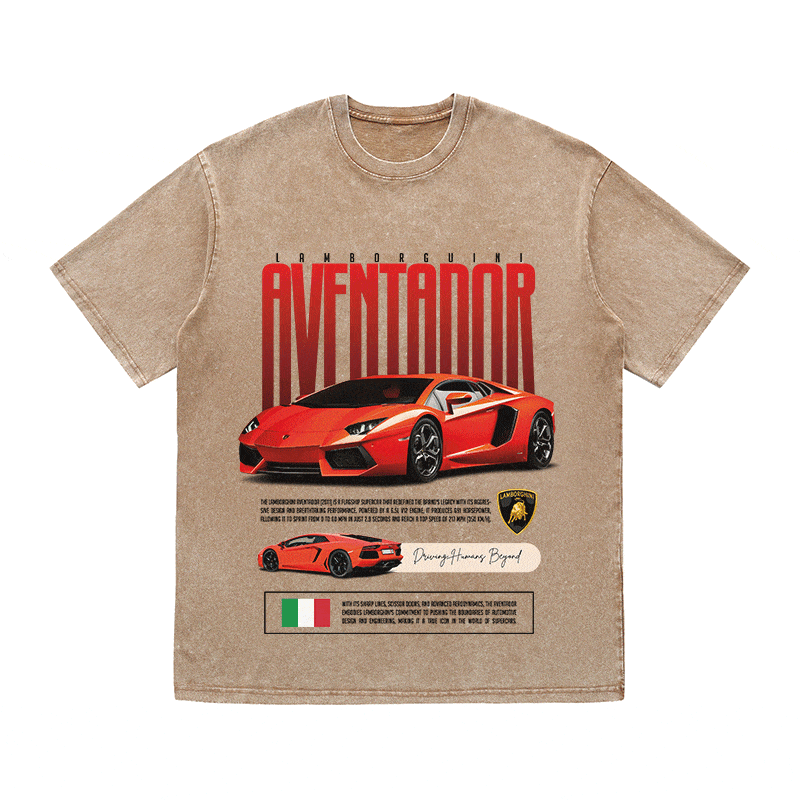 RDMCLOTHINGART tapestry hoodie AVENTADOR HEAVY WEIGHT COTTON TEE-8831