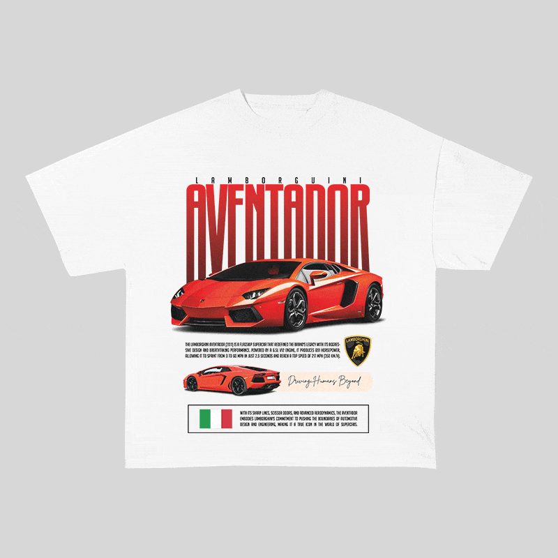 RDMCLOTHINGART tapestry hoodie AVENTADOR HEAVY WEIGHT COTTON TEE-8831