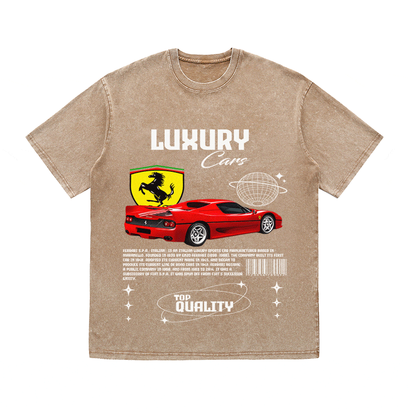 RDMCLOTHINGART tapestry hoodie FERRARI HEAVY WEIGHT COTTON TEE-9094