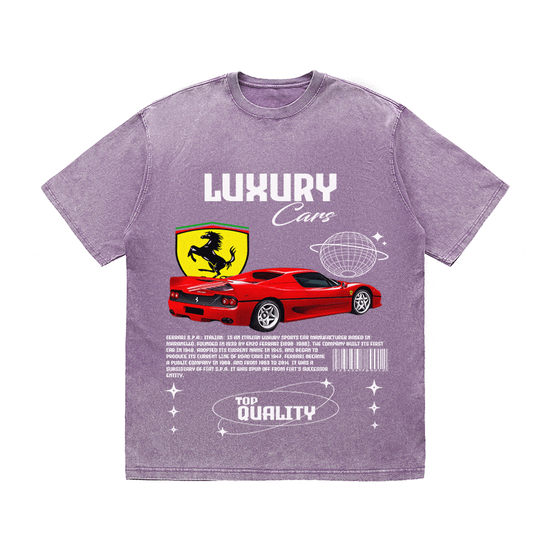 RDMCLOTHINGART tapestry hoodie FERRARI HEAVY WEIGHT COTTON TEE-9094