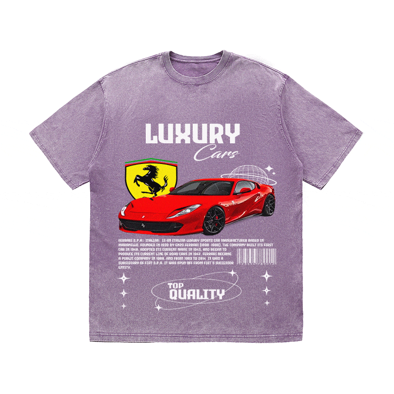 RDMCLOTHINGART tapestry hoodie FERRARI HEAVY WEIGHT COTTON TEE-9096