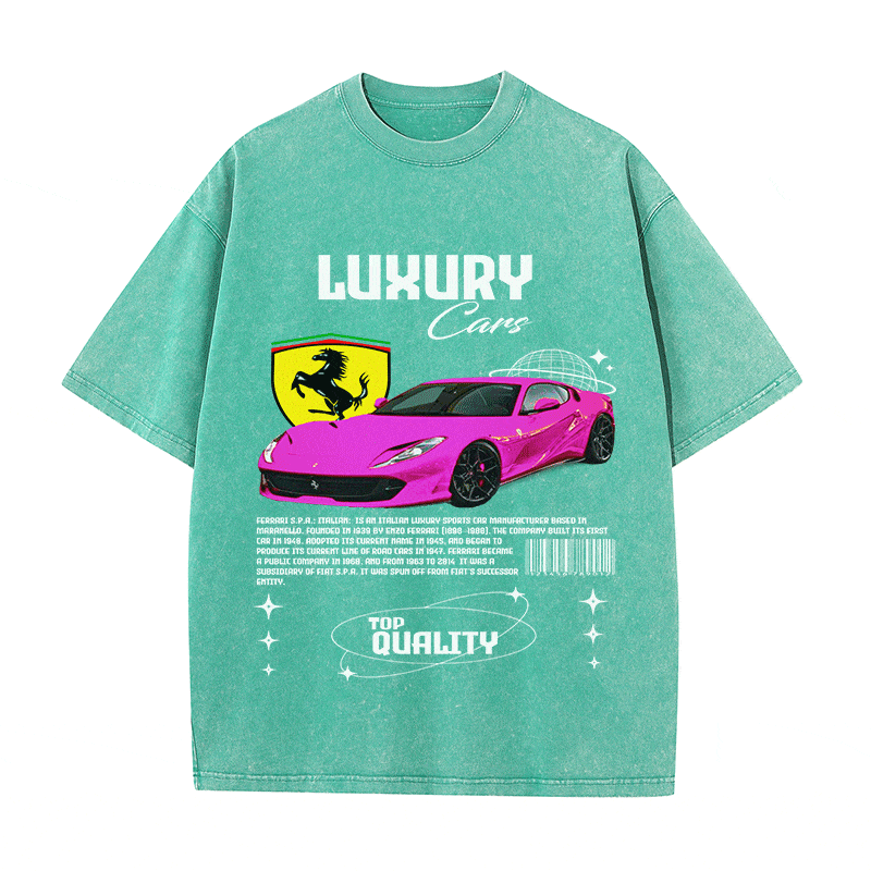RDMCLOTHINGART tapestry hoodie FERRARI HEAVY WEIGHT COTTON TEE-9097