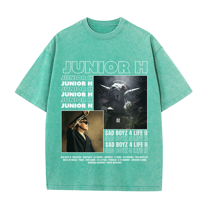 RDMCLOTHINGART tapestry hoodie JUNIOR HEAVY WEIGHT COTTON TEE-9001
