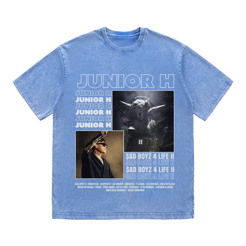 RDMCLOTHINGART tapestry hoodie JUNIOR HEAVY WEIGHT COTTON TEE-9001