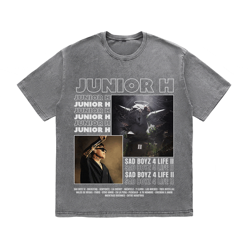 RDMCLOTHINGART tapestry hoodie JUNIOR HEAVY WEIGHT COTTON TEE-9001