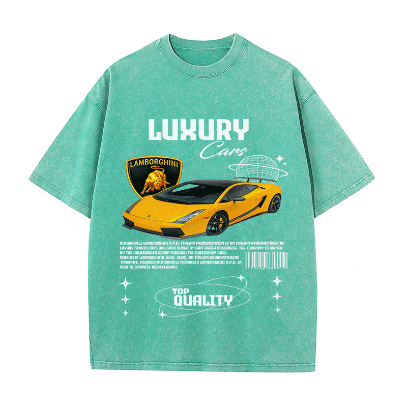 RDMCLOTHINGART tapestry hoodie LAMBORGHINI 00 HEAVY WEIGHT COTTON TEE-9100