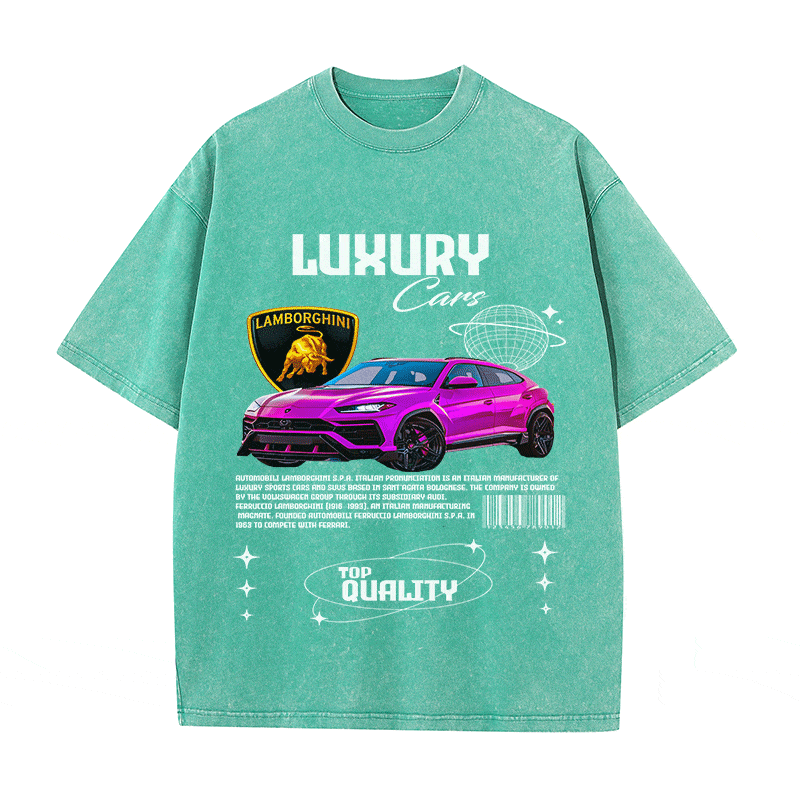 RDMCLOTHINGART tapestry hoodie LAMBORGHINI HEAVY WEIGHT COTTON TEE-9103