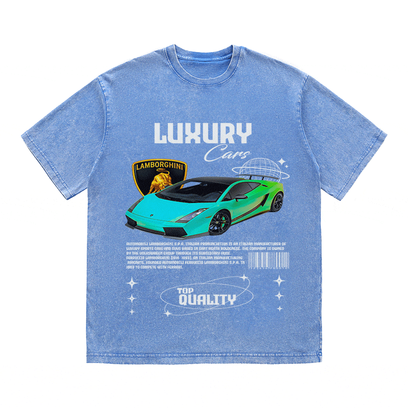 RDMCLOTHINGART tapestry hoodie LAMBORGHINI HEAVY WEIGHT COTTON TEE-9104