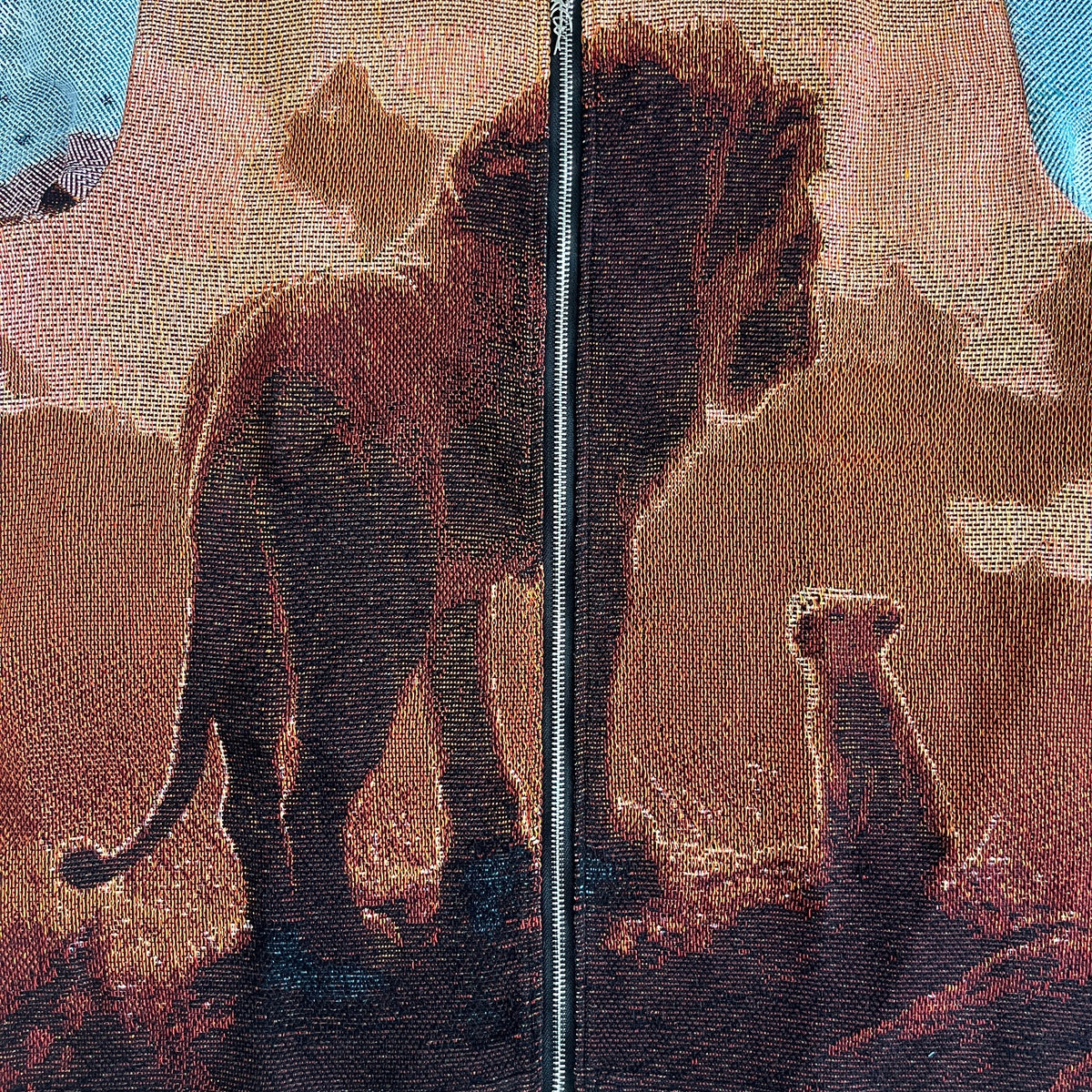 RDMCLOTHINGART tapestry hoodie LION KING TAPESTRY JACKET
