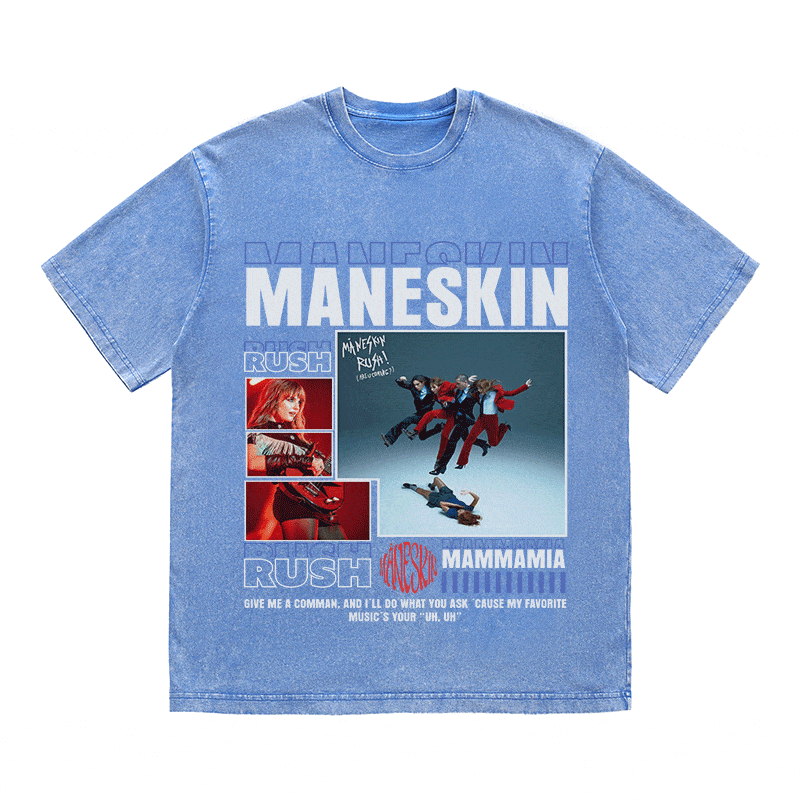 RDMCLOTHINGART tapestry hoodie MANESKIN HEAVY WEIGHT COTTON TEE-9008