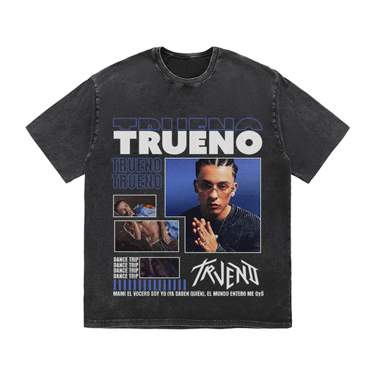 RDMCLOTHINGART tapestry hoodie TRUENOA HEAVY WEIGHT COTTON TEE-9026